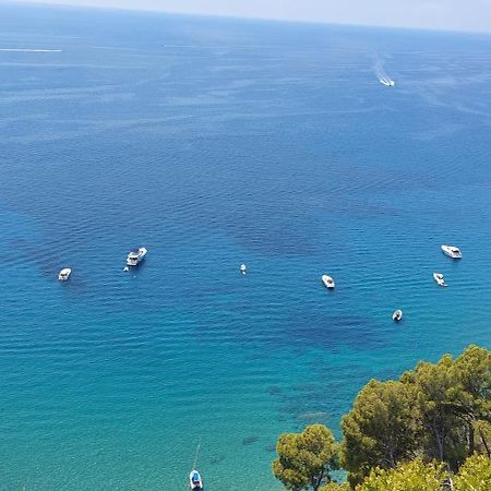 Tenuta Belvedere Cilento Монтекориче Екстериор снимка