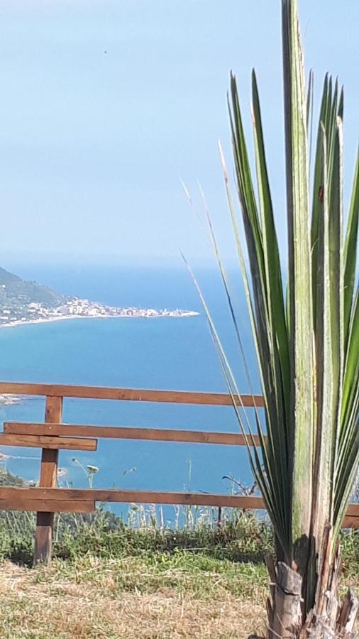 Tenuta Belvedere Cilento Монтекориче Екстериор снимка