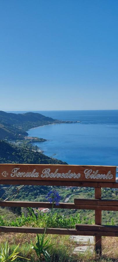 Tenuta Belvedere Cilento Монтекориче Екстериор снимка