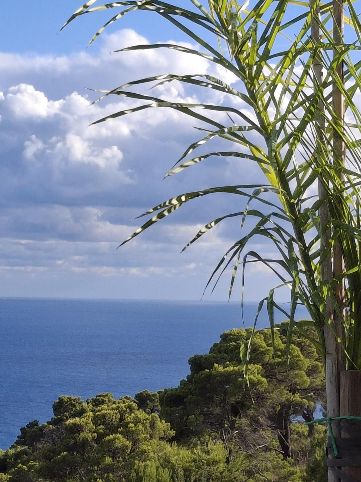 Tenuta Belvedere Cilento Монтекориче Екстериор снимка